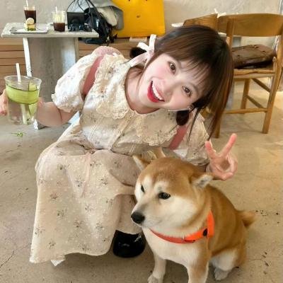 消失的凶手